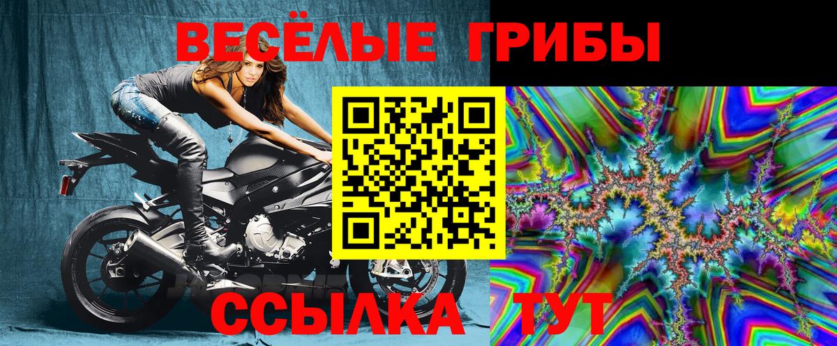 Псилоцибиновые грибы GOLDEN TEACHER Комсомольск-на-Амуре