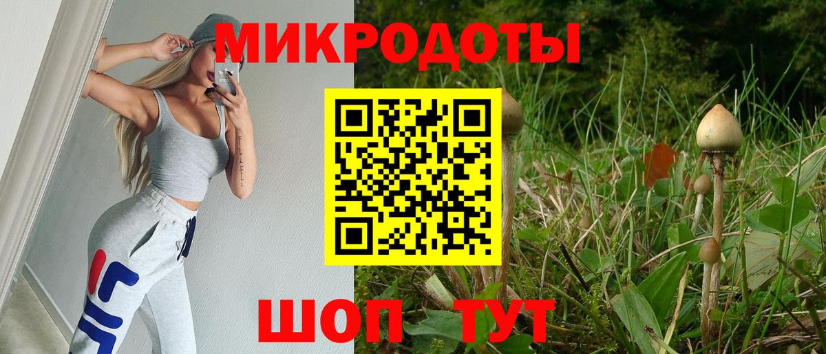 Комсомольск-на-Амуре  Галлюциногенные грибы Cubensis  Вход с VPN  Псилоцибиновые грибы GOLDEN TEACHER 